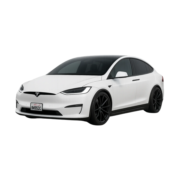 Model X logo