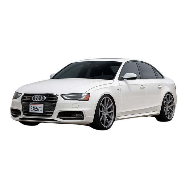 B8