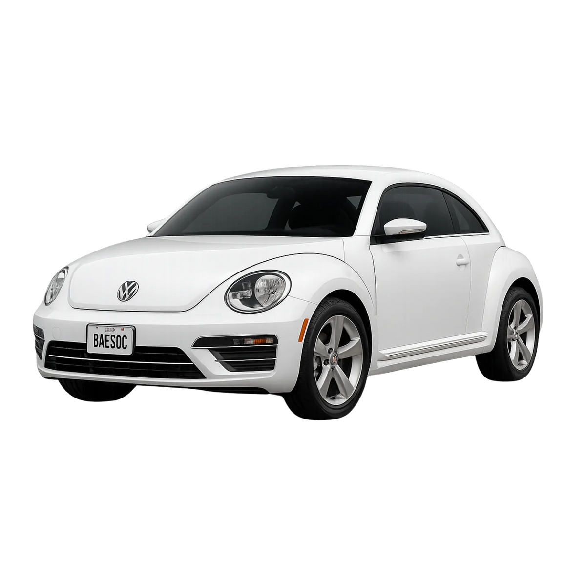 Beetle